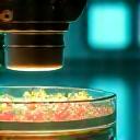 Microscopio mostrando células madre en un laboratorio de alta tecnología.